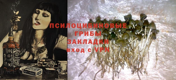 молекула духа Абинск