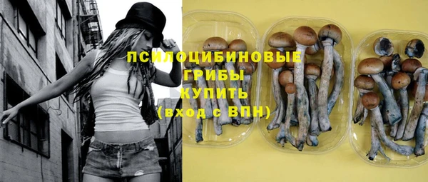 молекула духа Абинск