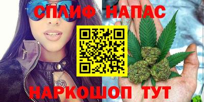 гидра Свободный