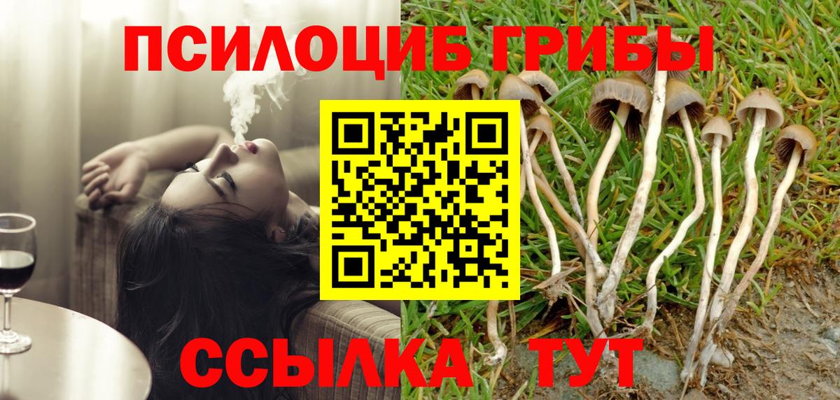 Псилоцибиновые грибы мицелий  Вход с VPN  купить   Советский 