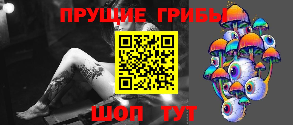 Псилоцибиновые грибы Psilocybine cubensis Советский